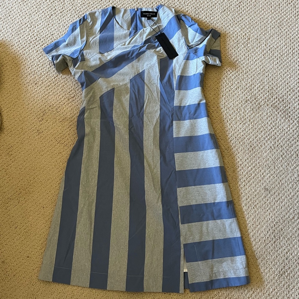 NWT Hilton Hollis Blue Striped Dress
